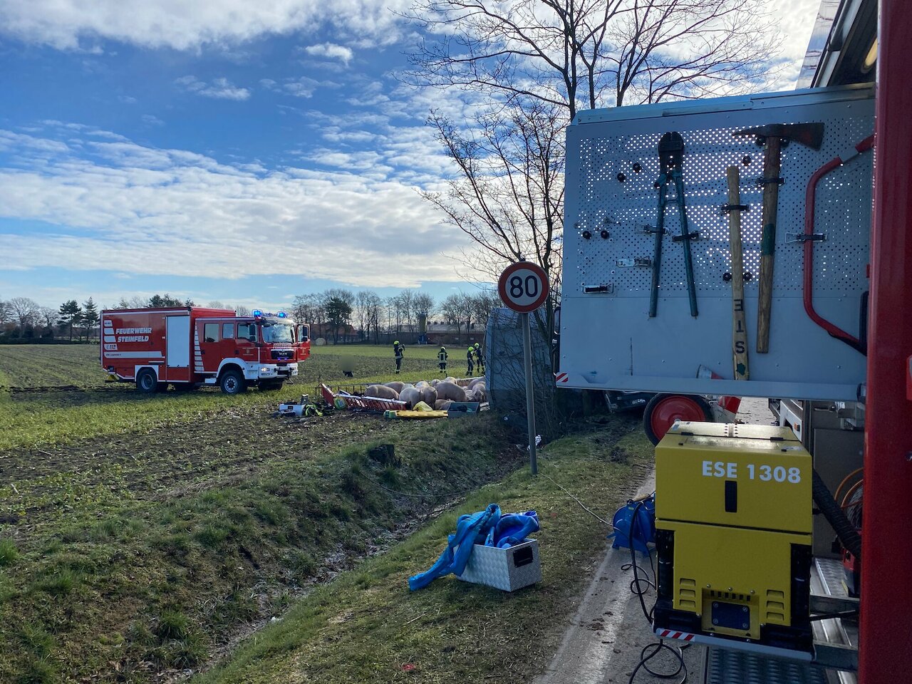 Einsatzmeldung: LKW mit 160 Schweinen umgestürzt Image 4