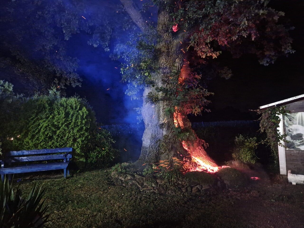 Brennt Baum nach Blitzeinschlag Image 1