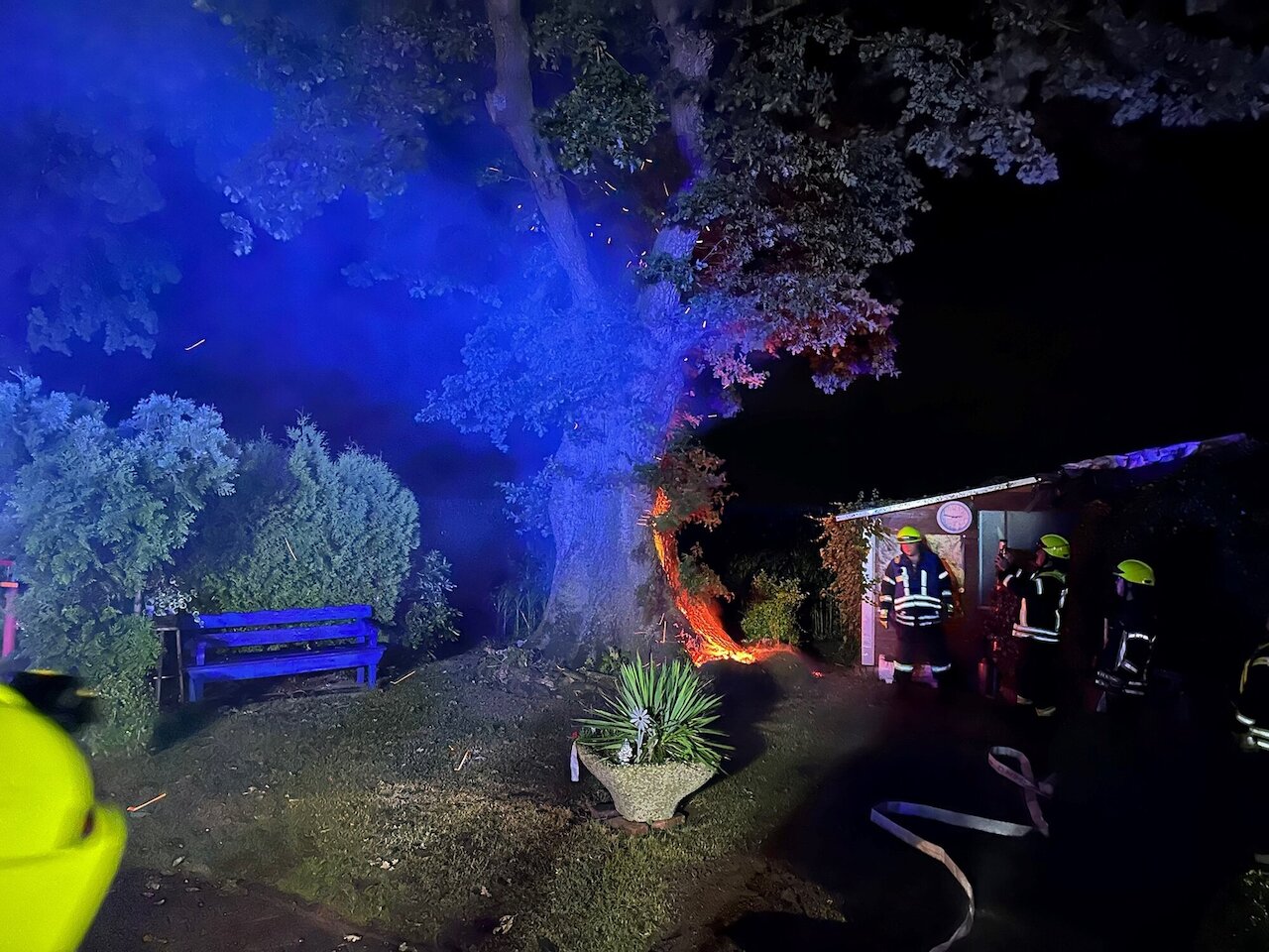 Brennt Baum nach Blitzeinschlag Image 2