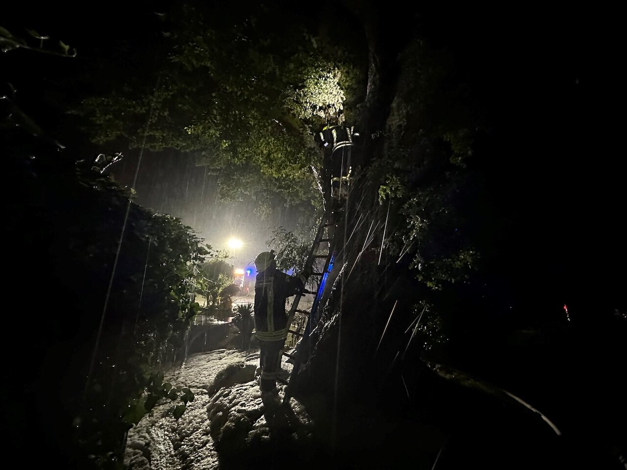 Brennt Baum nach Blitzeinschlag Image 3