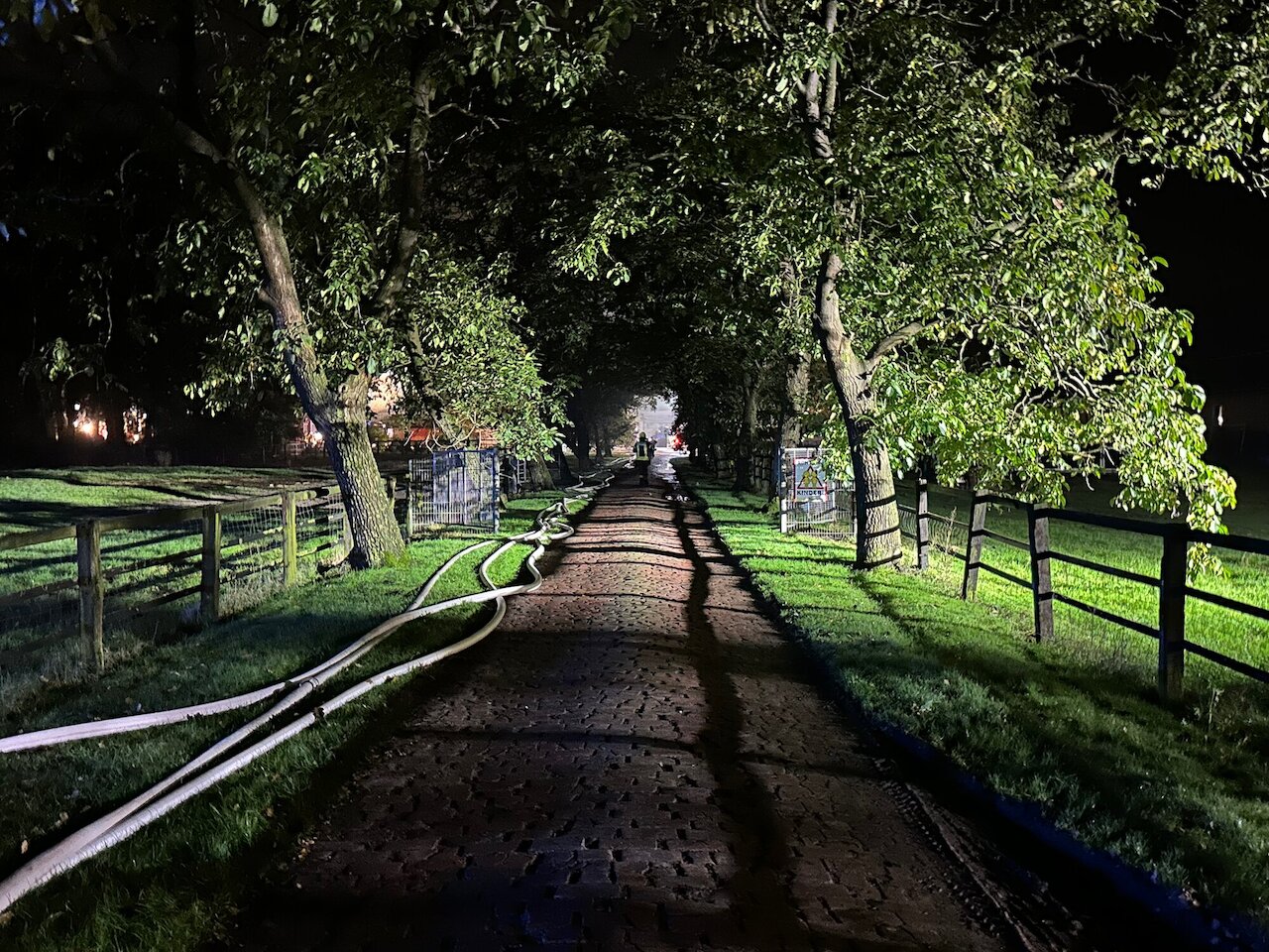 Bullen- / Schweinestall in Vollbrand Image 11