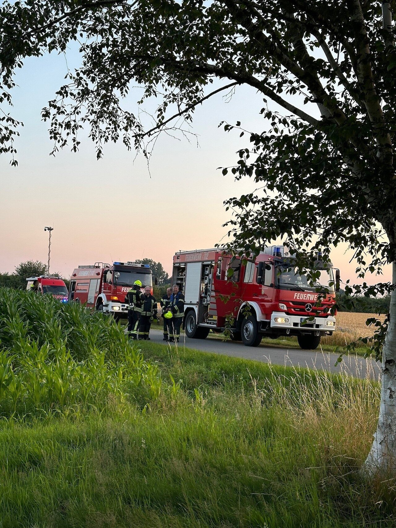 Rauchentwicklung in leerstehendem Haus erfolgreich bekämpft Image 2
