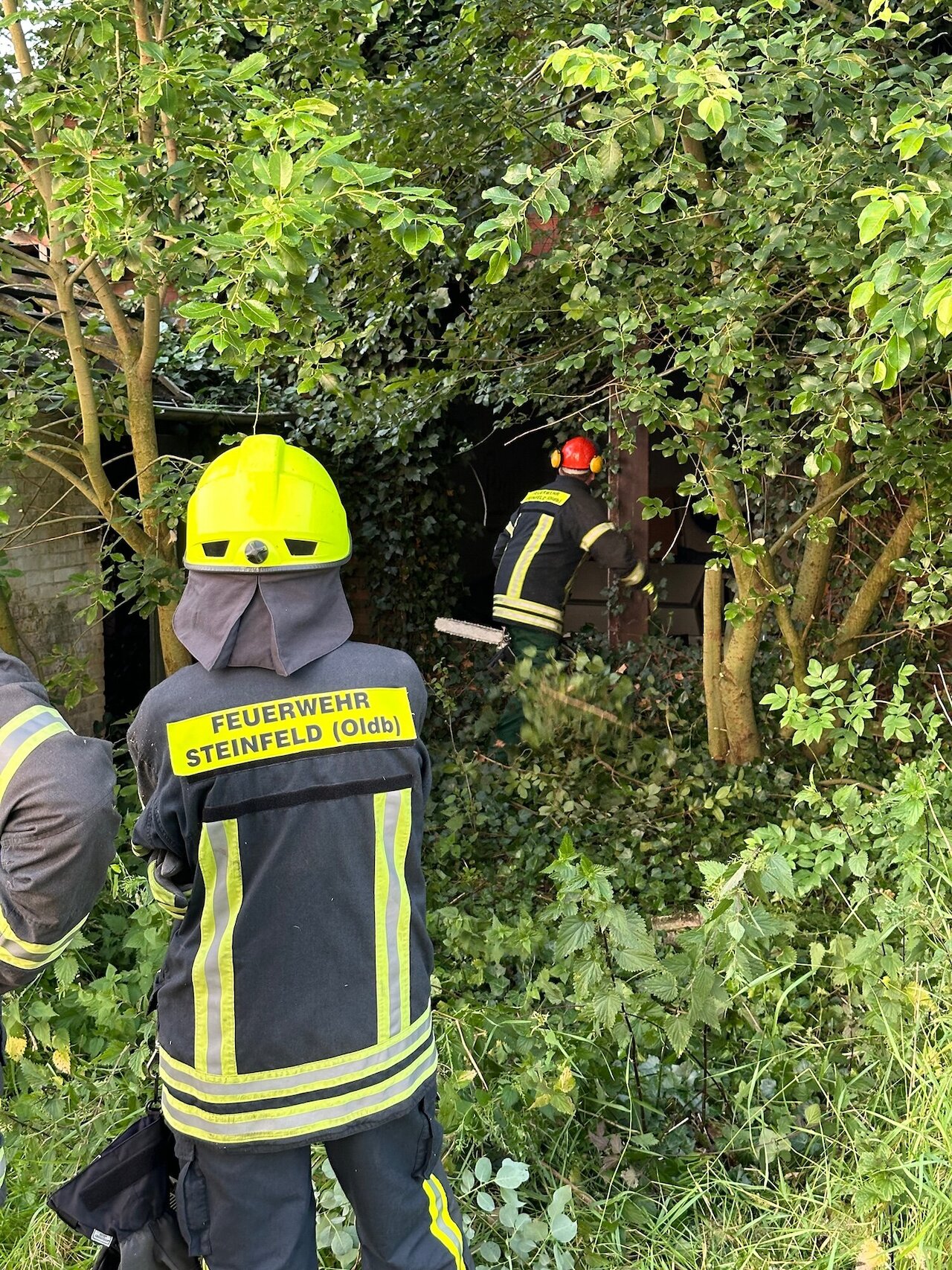 Rauchentwicklung in leerstehendem Haus erfolgreich bekämpft Image 9