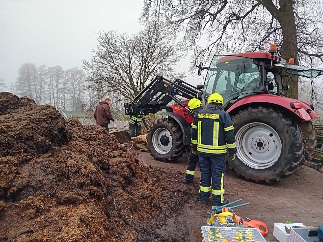 Kuh aus Güllegrube gerettet – Schnelles Handeln rettet Tierleben Image 2