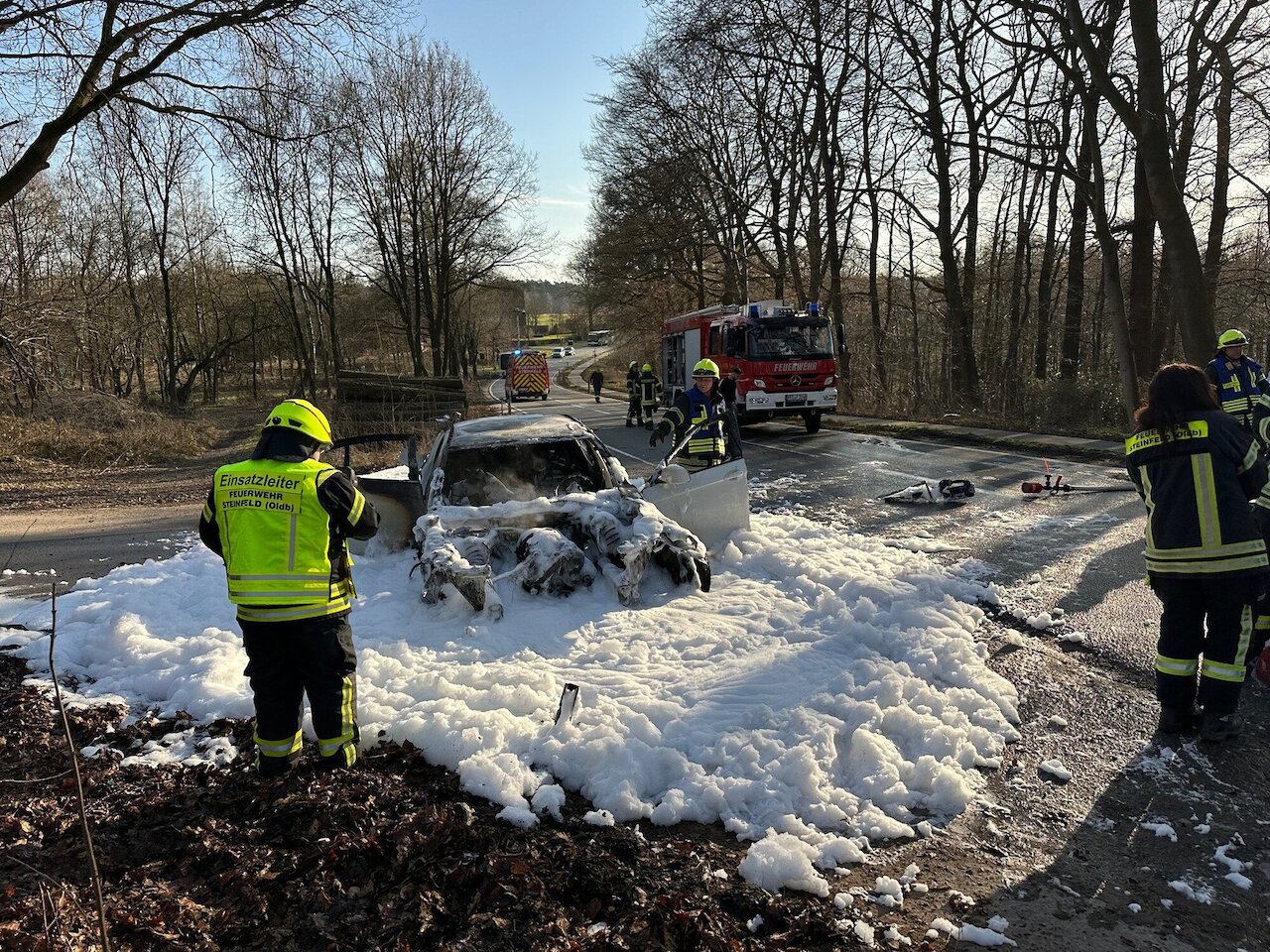 Feuer auf der Dammer Straße: Brennender Pkw drohte Waldbrand auszulösen Image 4