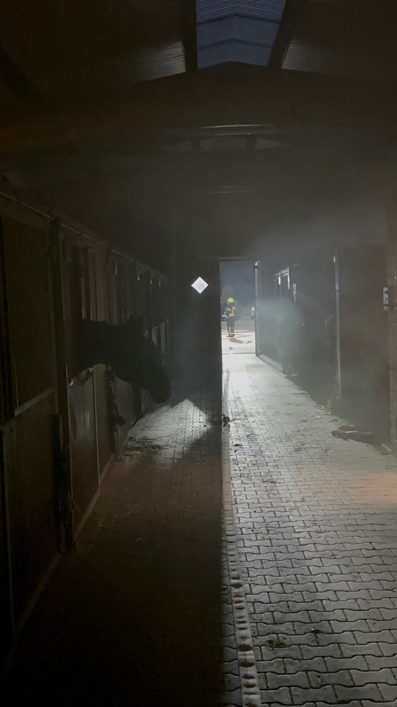 Mit Pferden auf Tuchfühlung - Großübung der Feuerwehr Steinfeld (Oldenburg) beim Reit- und Fahrverein Steinfeld-Mühlen e.V. Image 12