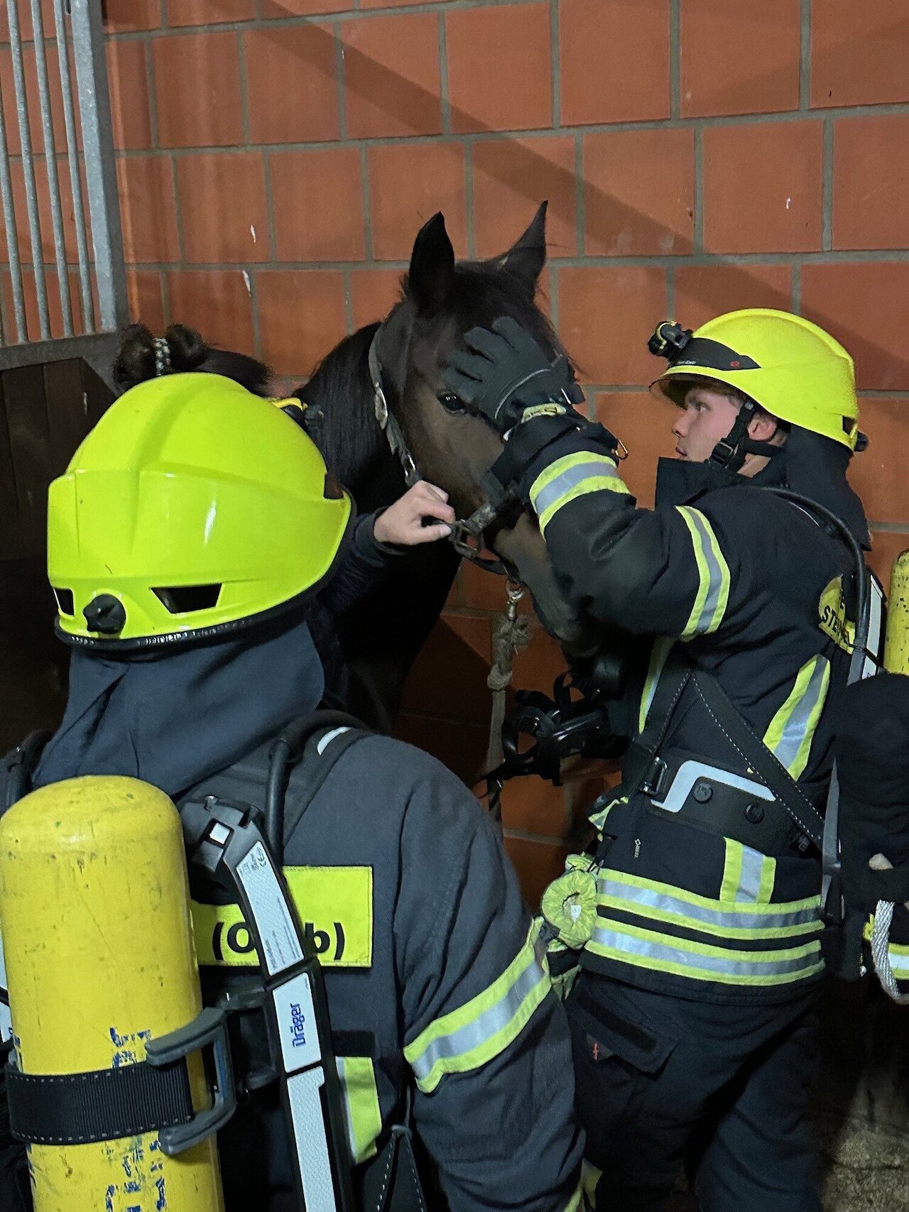 Mit Pferden auf Tuchfühlung - Großübung der Feuerwehr Steinfeld (Oldenburg) beim Reit- und Fahrverein Steinfeld-Mühlen e.V. Image 1