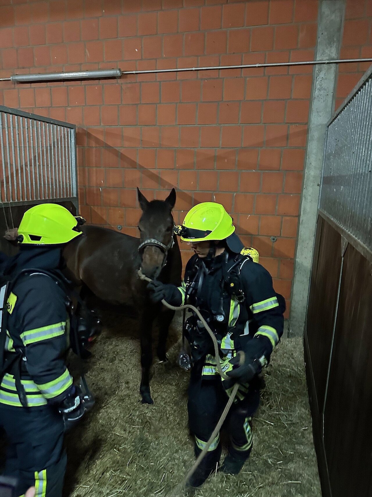 Mit Pferden auf Tuchfühlung - Großübung der Feuerwehr Steinfeld (Oldenburg) beim Reit- und Fahrverein Steinfeld-Mühlen e.V. Image 3