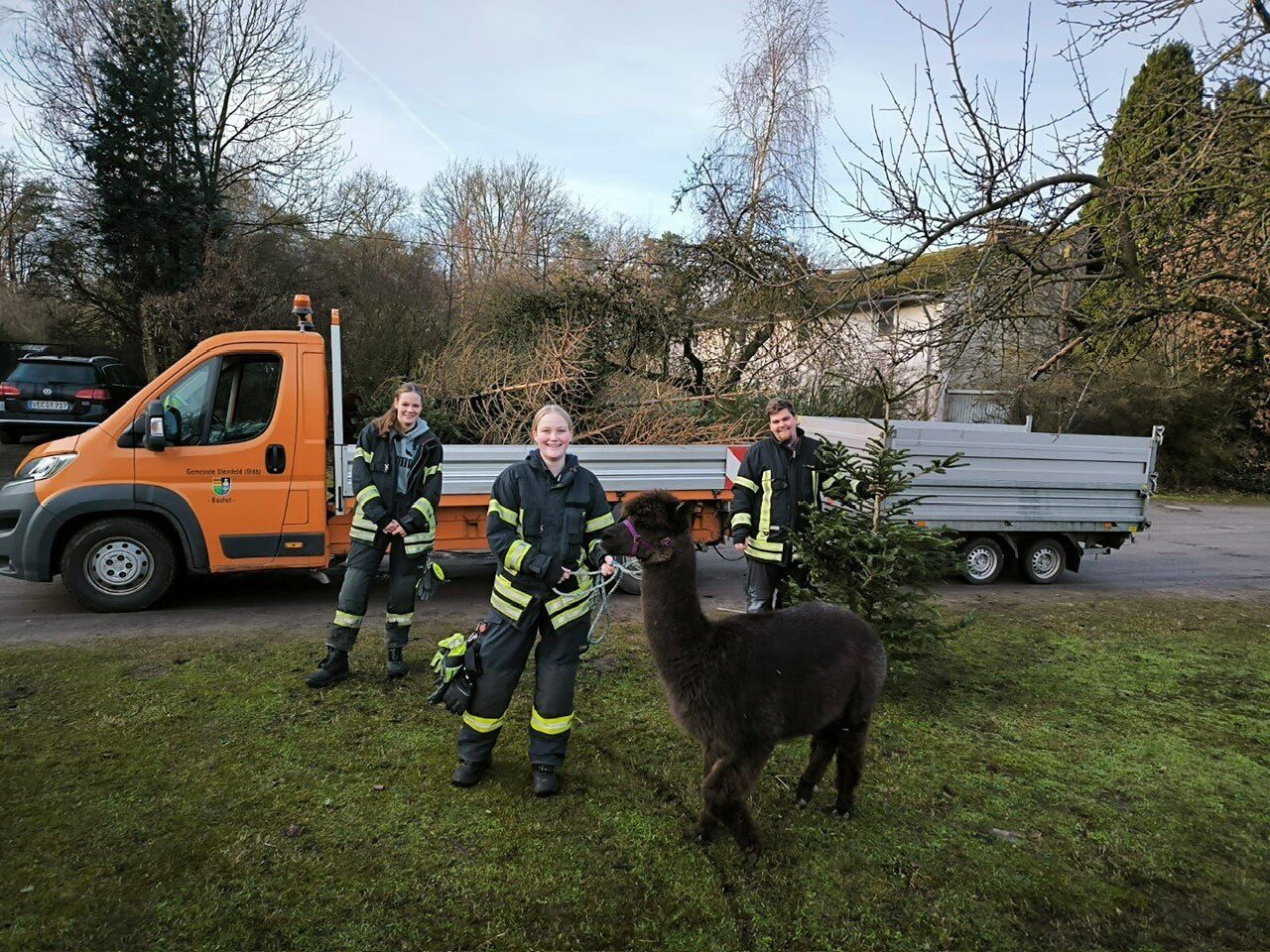 Drei Einsätze an einem Tag – Feuerwehr Steinfeld trotz Tannenbaumaktion mehrfach gefordert Image 5