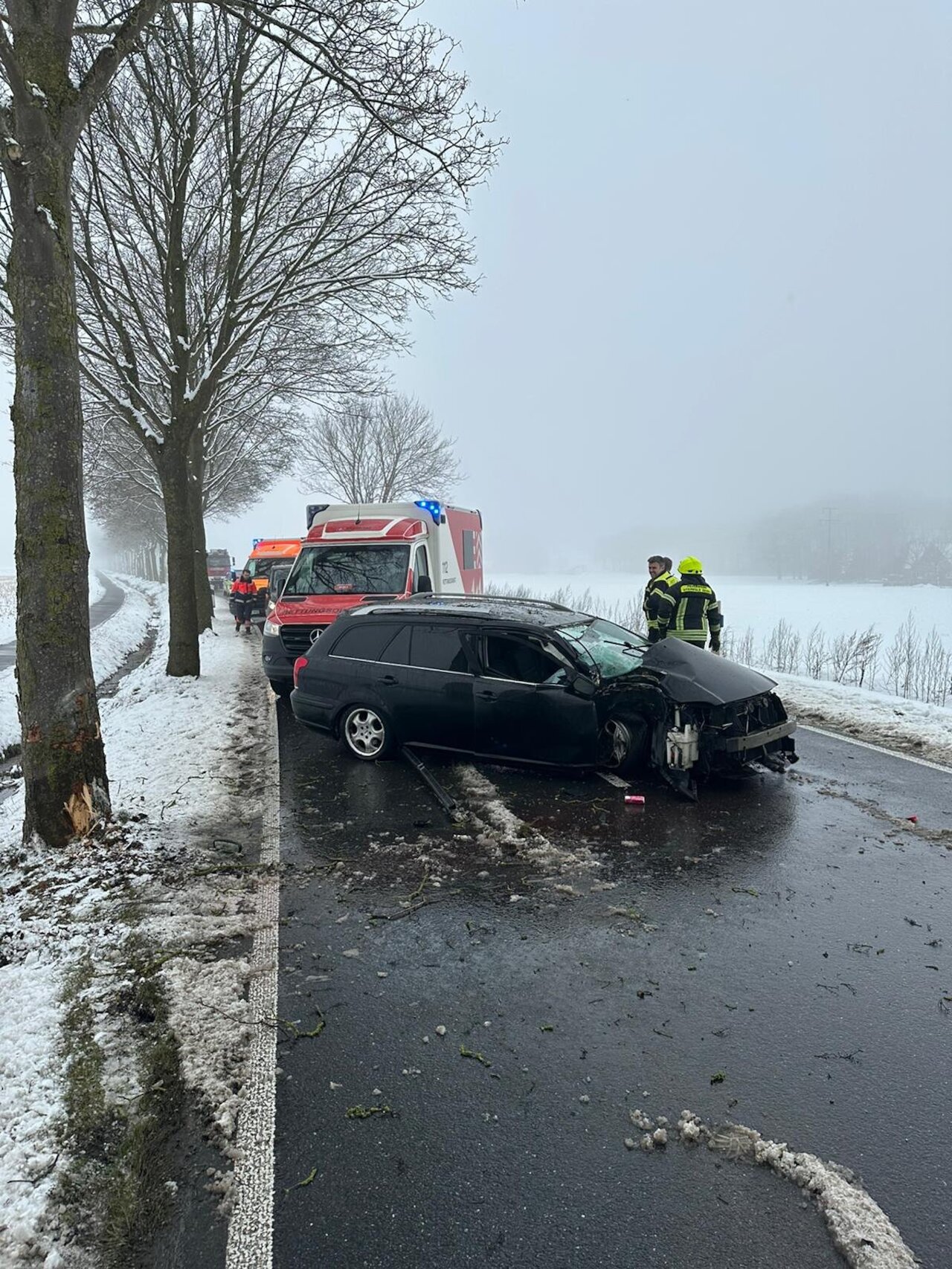 PKW prallt gegen Baum – E-Call alarmiert Rettungskräfte Image 1