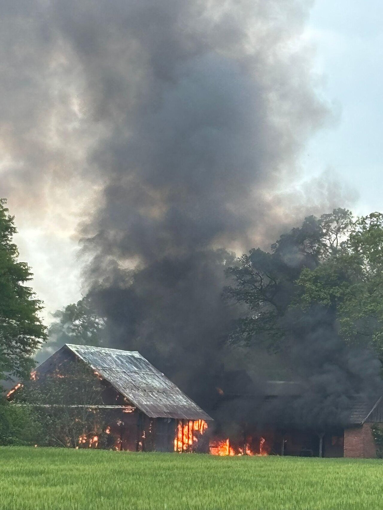 Scheunenbrand mit Ausbreitungsgefahr – mehrere Gebäude betroffen Image 1