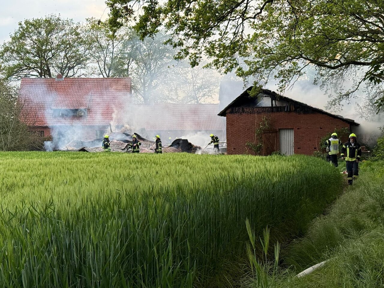 Scheunenbrand mit Ausbreitungsgefahr – mehrere Gebäude betroffen Image 3